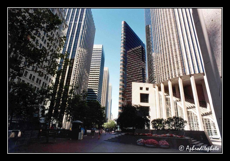 Financial district